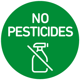 Tahoe CBD in [location]. No Pesticides.