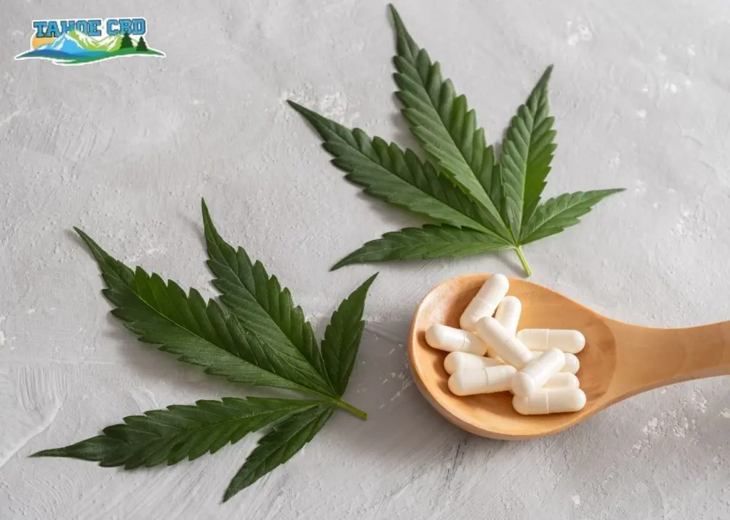 Travel bag with capsules - “CBD capsule bottle packed for travel”