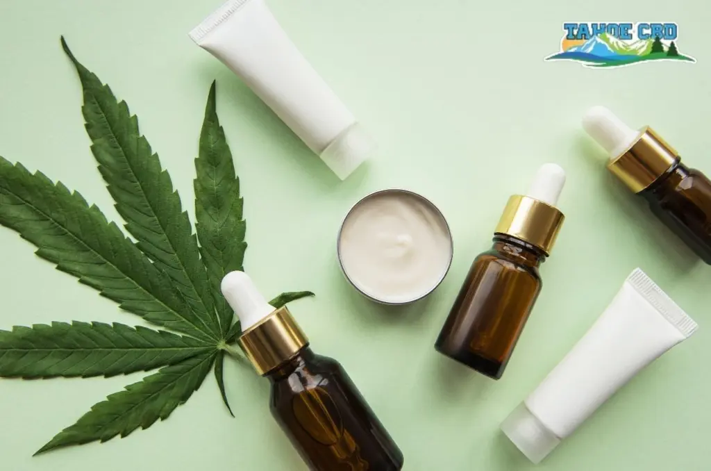 Close-up of the CBD Salve . – “Cooling CBD topical gel for joints and muscles”