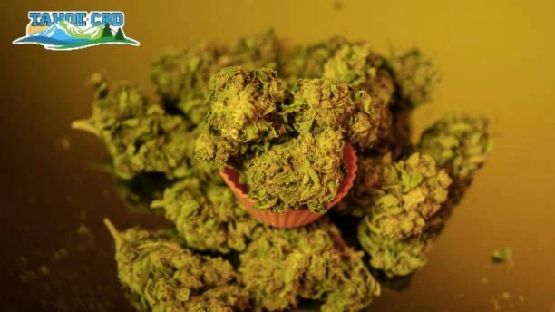 Using vape pen outdoors – “THCA vape pen from Tahoe CBD - Moondog 420 used in public park”