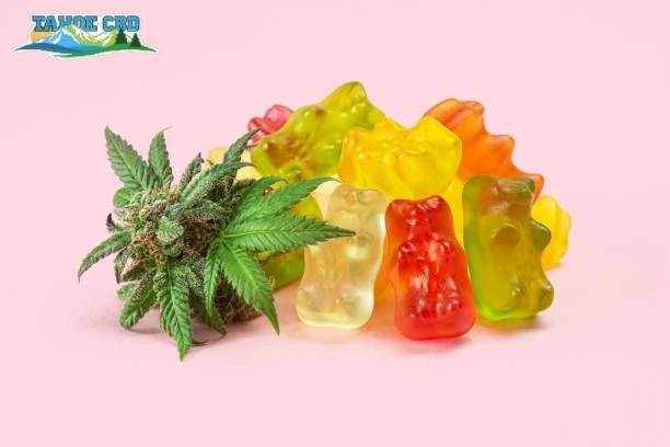 CBD edible use in Wichita captured as discreet gummies - a person holding gummy.