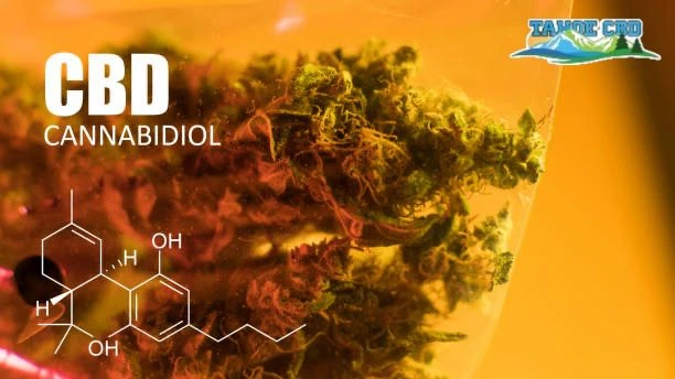 THCA concentrate – "Diamond concentrate of THCA from Tahoe CBD is sold in premium quality”