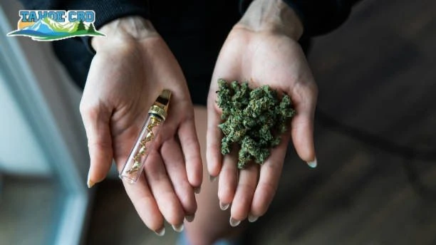 THCA flower jar – “THCA flower is offered in Wichita, Kansas”